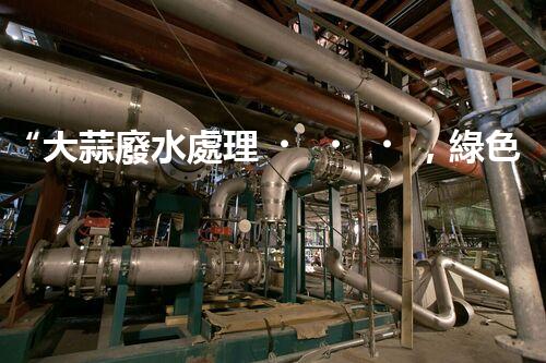 “大蒜廢水處理，綠色環(huán)保新篇章”